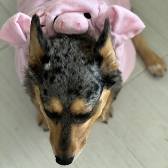 Pet Halloween Pig Fluffy Costume - Picture 1 of 9